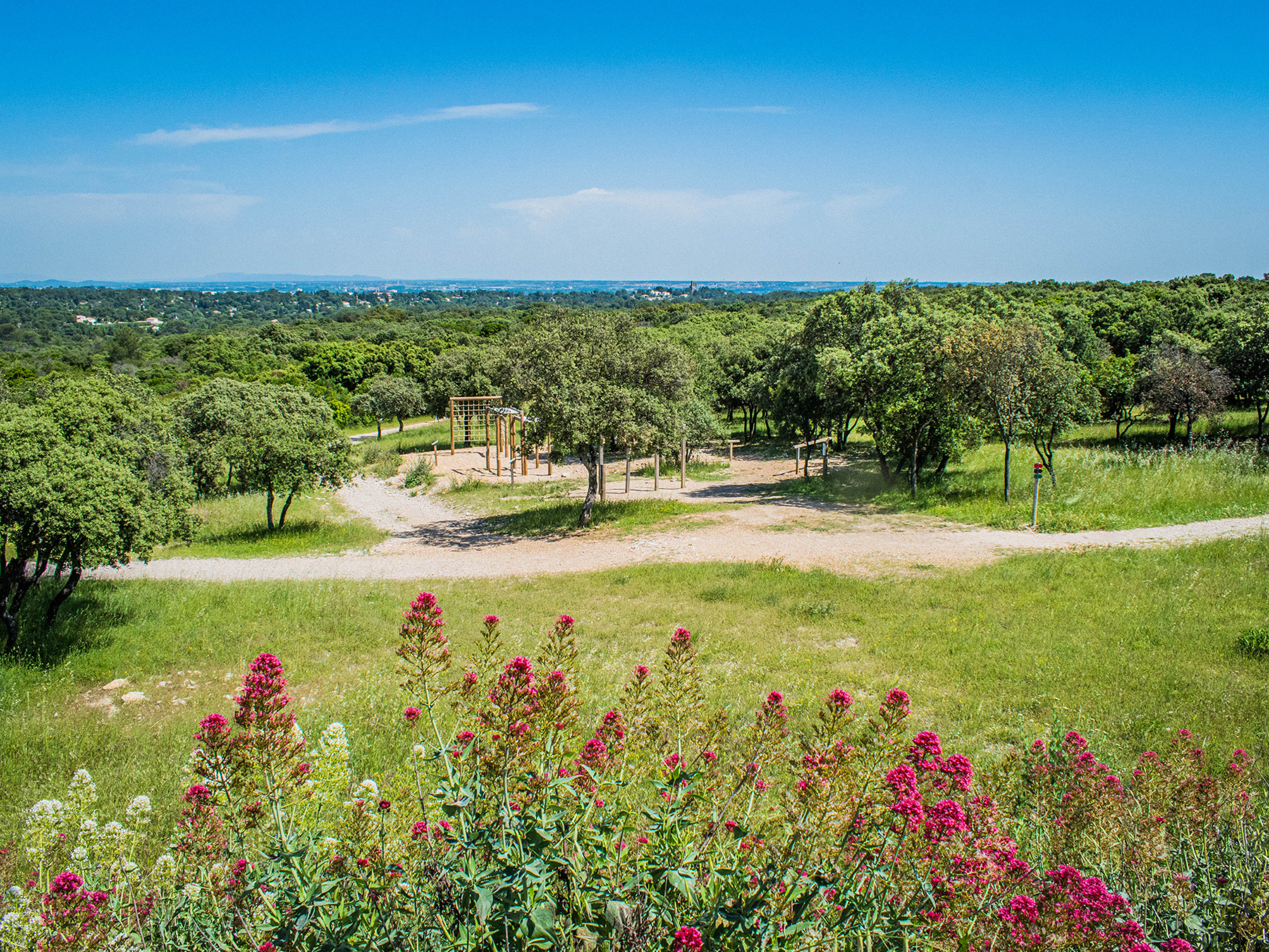 Bois des Espeisses